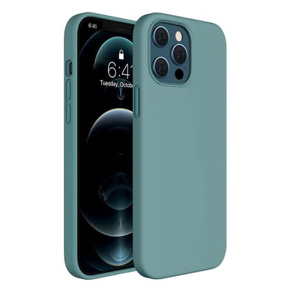 LIRAMARK Liquid Silicone Soft Back Cover Case for Apple iPhone 12 / Apple iPhone 12 Pro (6.1 inch) (Pine Green)